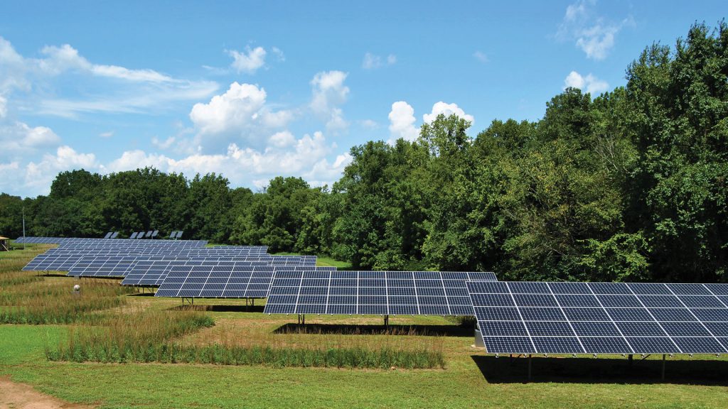 solar panel installation, Prospect Solar